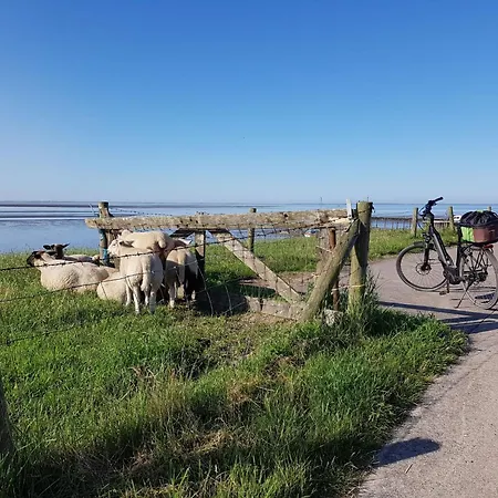 Haus F 21- Randlage Mit Wiesenweitblick Eingezaeu By Interhome Σπίτι διακοπών